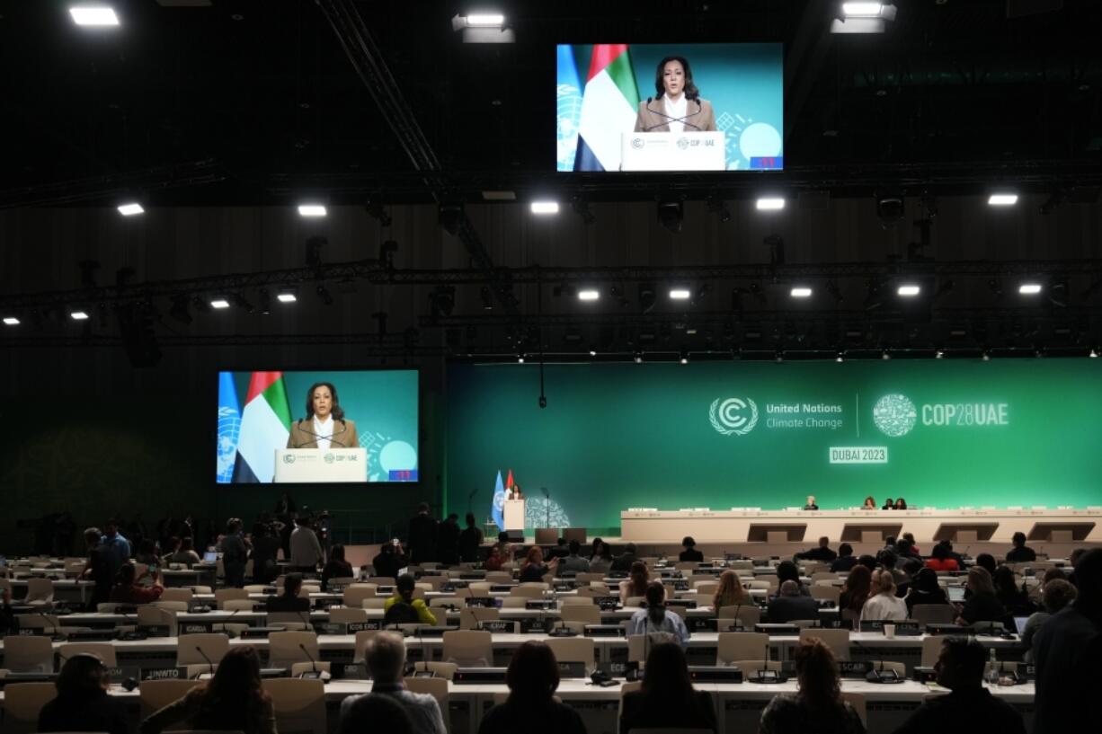 Vice President Kamala Harris speaks during a plenary session at the COP28 U.N. Climate Summit, Saturday, Dec. 2, 2023, in Dubai, United Arab Emirates.