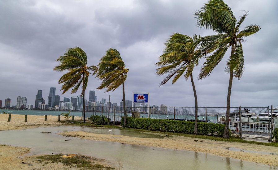 Coconut trees are battered by heavy winds along the Rickenbacker Causeway as near tropical storm-force wind gusts, heavy rainfall, flooded streets and other hazards are forecast to continun Friday Dec. 15, 2023 in Miami. Near tropical storm-force wind gusts, heavy rainfall, flooded streets and other hazards are forecast to continue over the weekend.