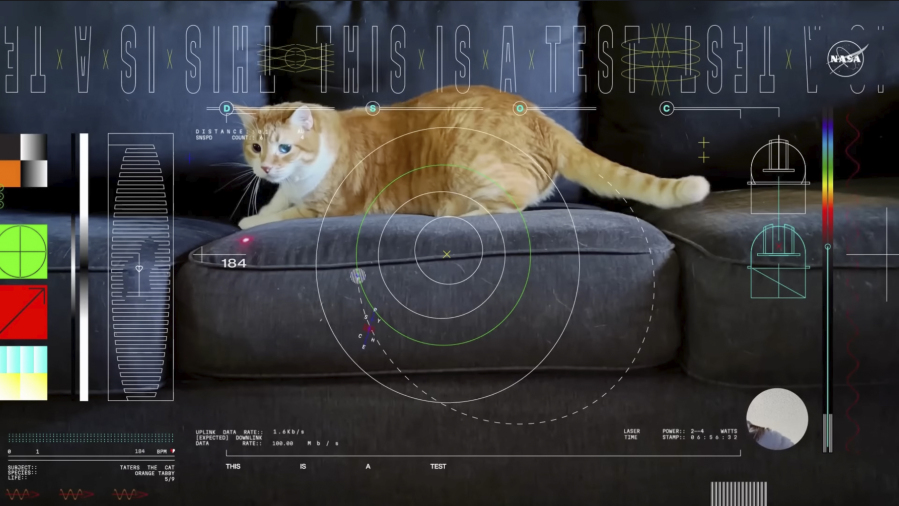 This image shows a frame from a 15-second ultra-high-definition video featuring a cat named Taters which was streamed via laser from deep space by NASA on Dec. 11, 2023. It was part of the technology demonstration known as Deep Space Optical Communications (DSOC), which is attached to the Psyche spacecraft traveling to the asteroid belt between Mars and Jupiter. The video was loaded into Psyche&rsquo;s laser experiment long before the spacecraft blasted off to a metal-rich asteroid in October.