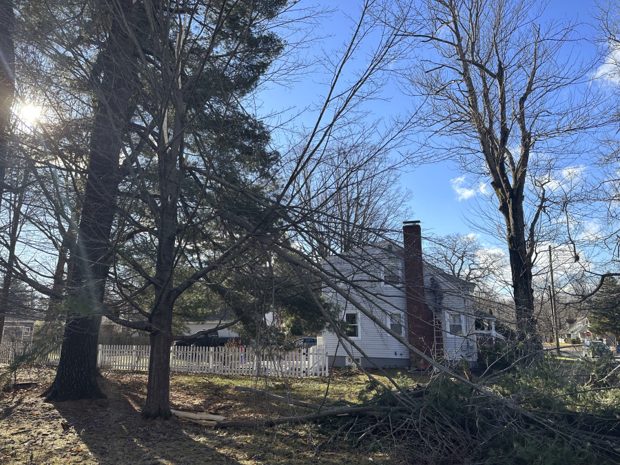 A large chunk of a 60-foot white pine tree lays across Ellen Briggs&rsquo; yard in Portland, Maine, on Tuesday, Dec. 19, 2023. Utility crews are working to restore power to hundreds of thousands of customers in Maine and some rivers continued to rise following a powerful storm that hit the northeastern U.S.