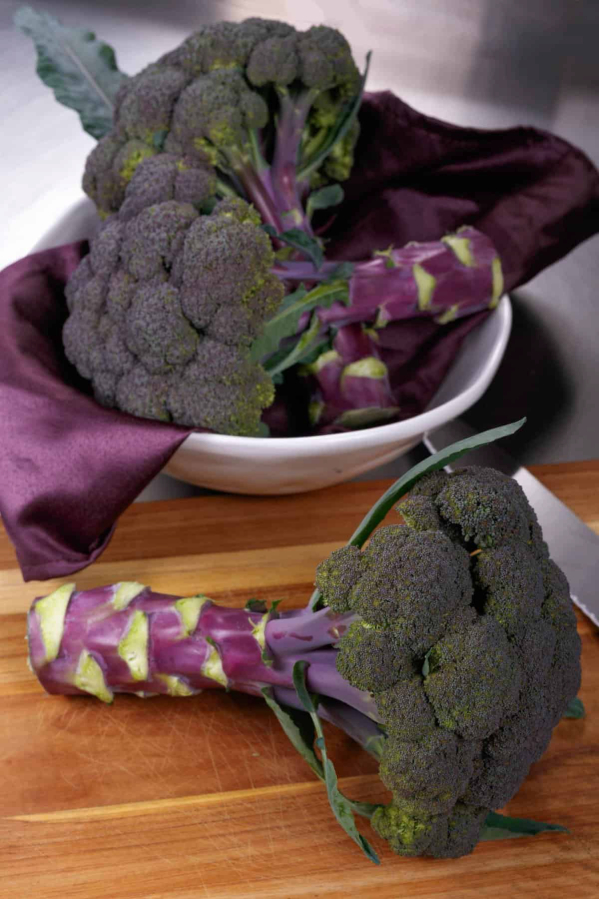 Broccoli Purple Magic (All-America Selections)