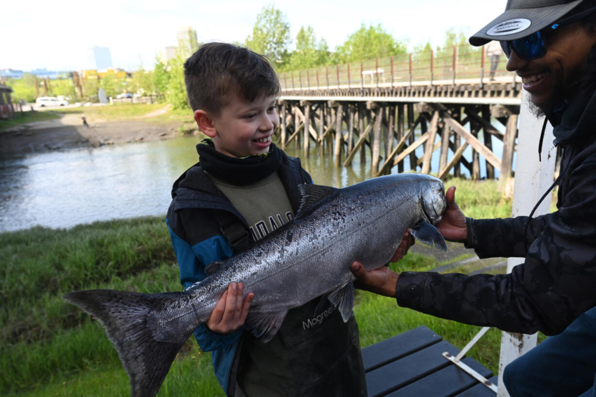 Conservation group petitions for Alaska king salmon to be listed as an  endangered species - The Columbian