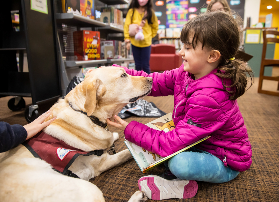 Noemie Leibov, 8, pauses reading aloud to pet Strummer during Tails and Tales at the Mukilteo Library on Jan. 17 in Mukilteo.
