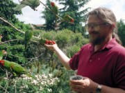 Vancouver native Mark Bittner and his many parrot friends one day in the early 2000s on Telegraph Hill in San Francisco.