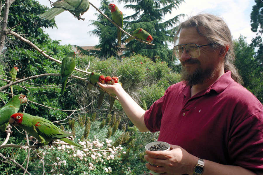 Vancouver native Mark Bittner and his many parrot friends one day in the early 2000s on Telegraph Hill in San Francisco.