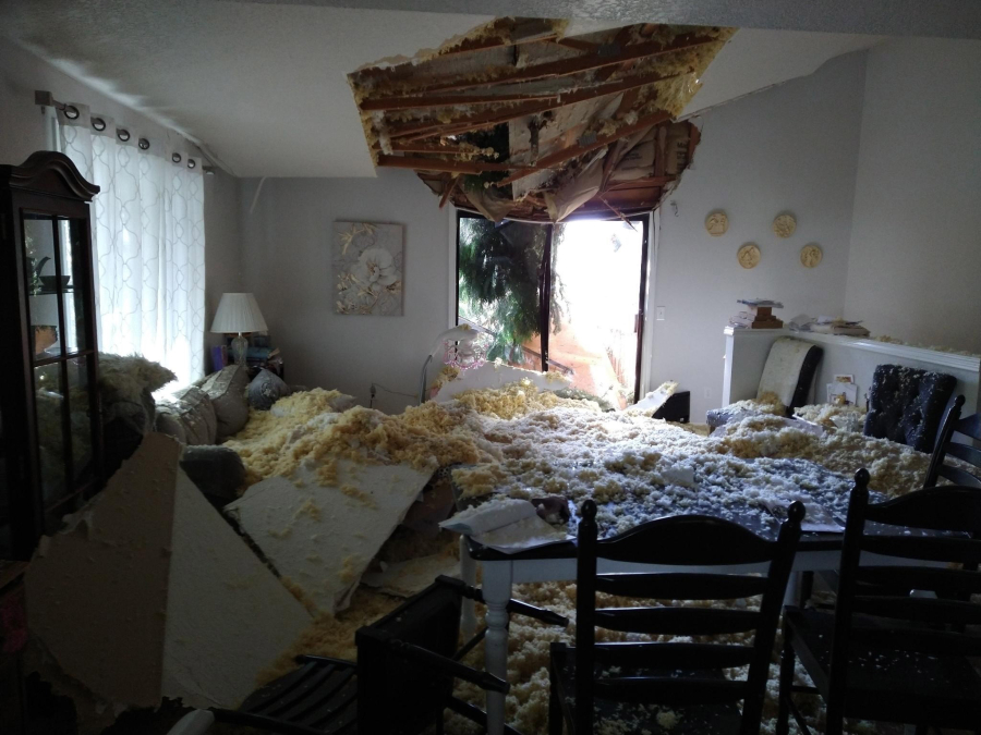 A remediation company covered by insurance cleaned up the mess after a tree fell on Columbian reporter Sarah Wolf&rsquo;s house in 2022.