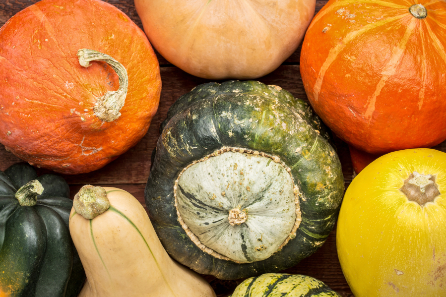 A variety of winter squash represents the colors and flavor of fall.