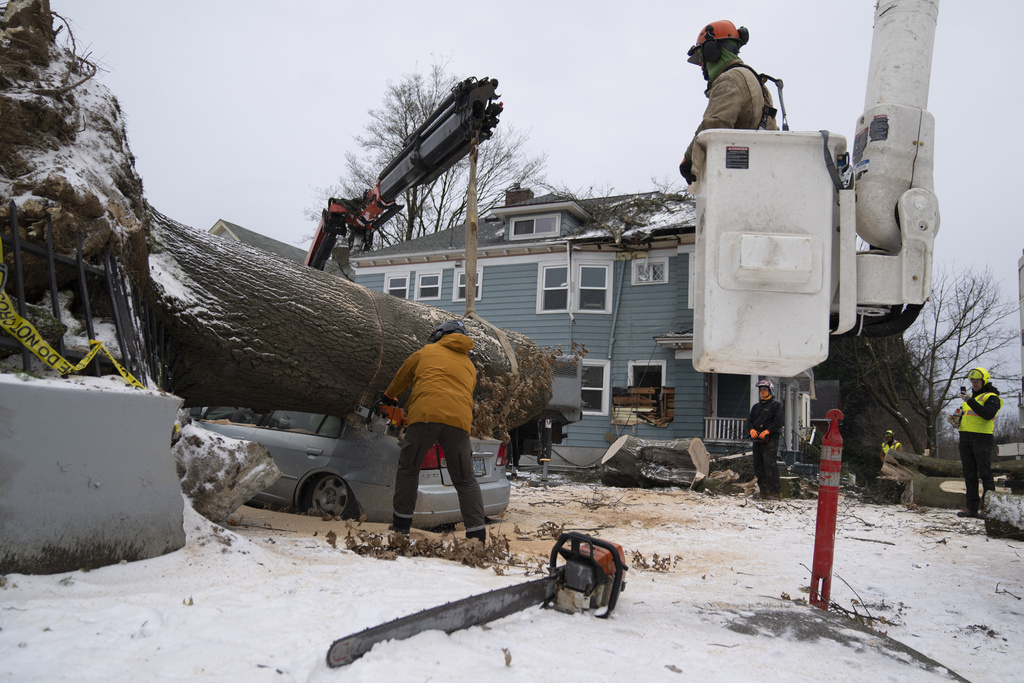 Jose Peralta, with the Oregon Department of Forestry, uses a chainsaw to cut a downed tree into smaller pieces after it fell on a car and a home on Saturday, Jan. 13, 2024, in Portland, Ore.