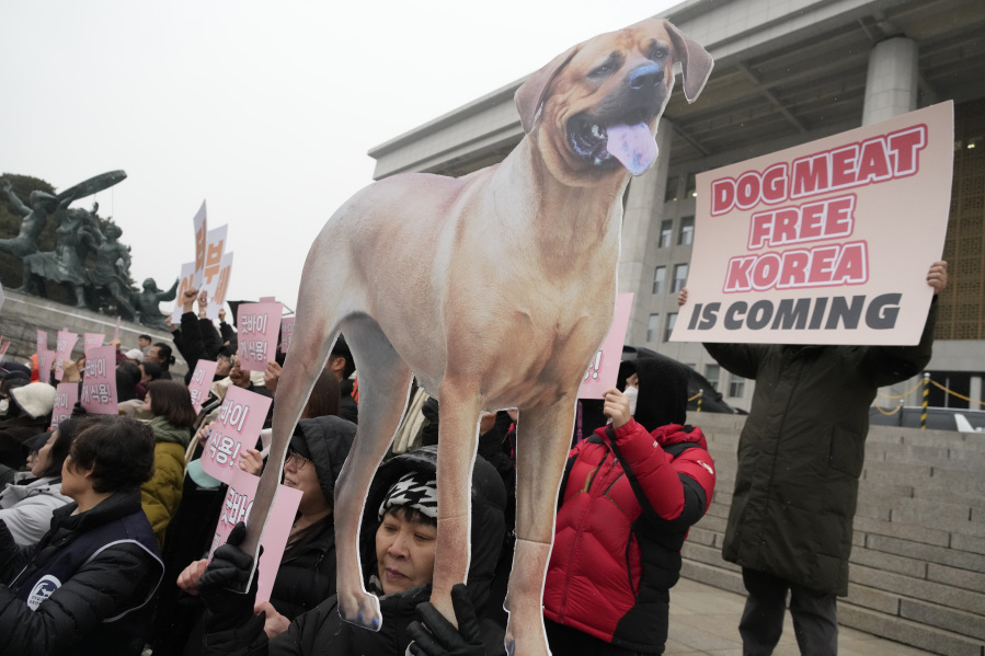 Animal rights activists attend a protest rally supporting the government-led dog meat banning bill at the National Assembly in Seoul, South Korea, Tuesday, Jan. 9, 2024. South Korea&rsquo;s parliament on Tuesday passed a landmark ban on production and sales of dog meat, as public calls for a prohibition have grown sharply over concerns about animal rights and the country&rsquo;s international image.