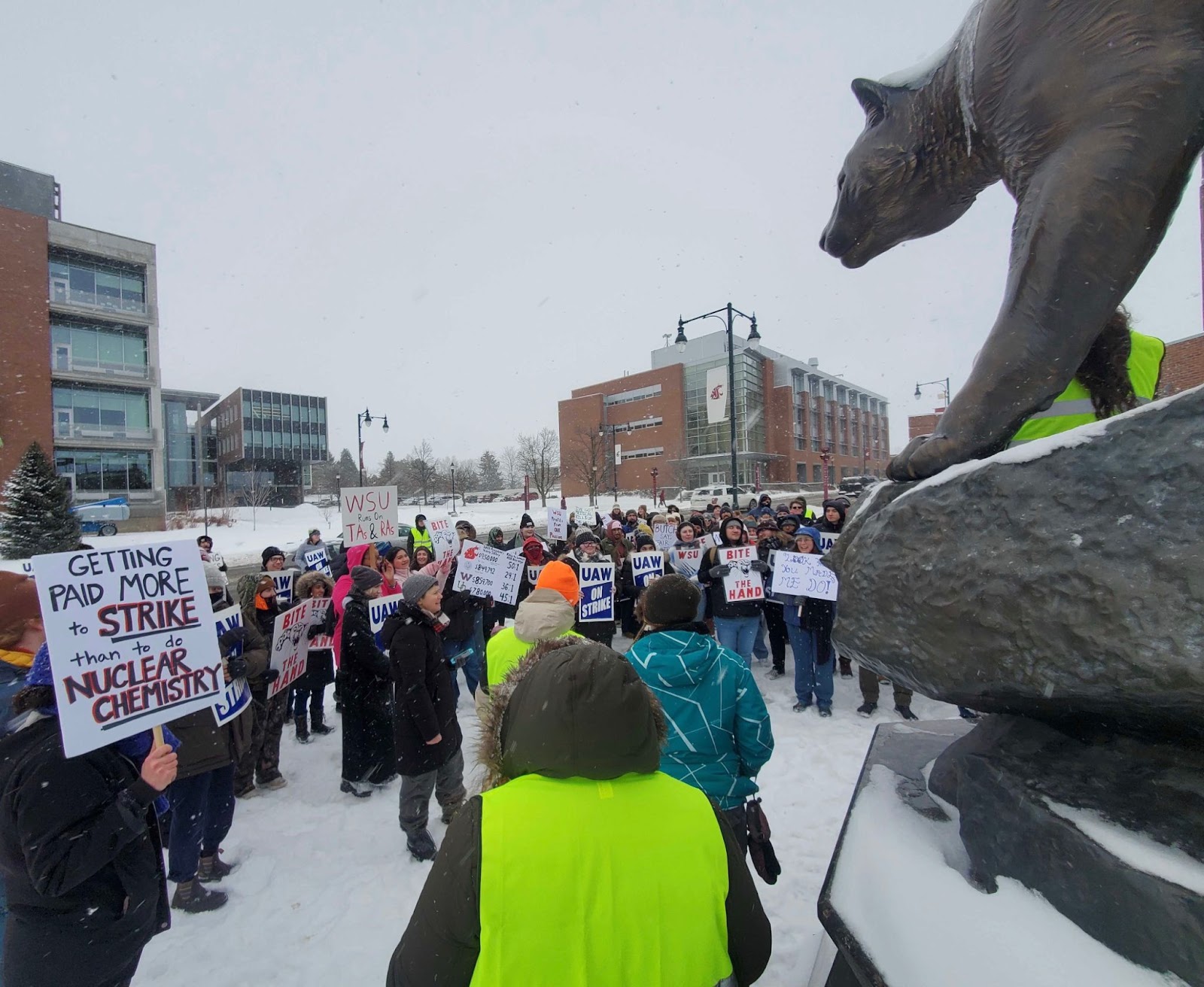 Washington State University Academic Student Employees braved the cold on the picket lines in Pullman.