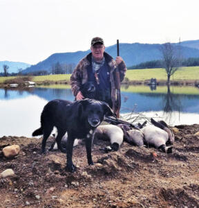 Spring permit goose season sees low-pressure hunt largely on private
land