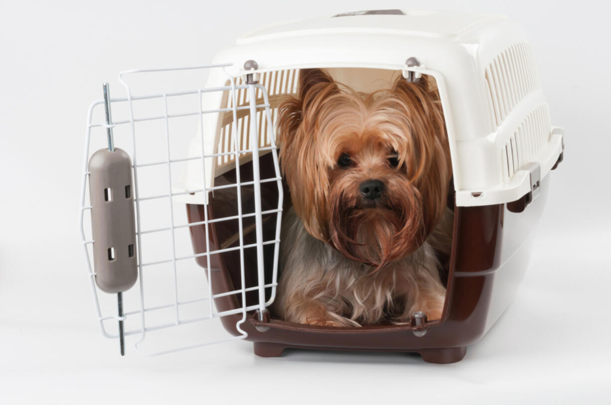 For many dogs, cats and other animals, flying isn&rsquo;t fun &mdash; it&rsquo;s frightening. That&rsquo;s why, if your post-pandemic plans include air travel with your animal companions, it&rsquo;s vital to take every precaution to ensure that you can do so as safely as possible.