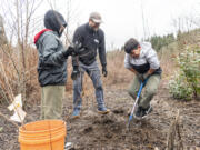 Sarah J. Anderson Elementary School fourth-graders Alexis Lopez, left, and Angel Murrillo Martinez dig a hole for a sapling while Lower Columbia Estuary Partnership environmental educator James Sterrett, center, supervises Wednesday at Burnt Bridge Creek. Clark County recently agreed to a $175,000 contract to extend the Experience Vancouver Lake program hosted by Lower Columbia Estuary Partnership, part of a suite of outdoor educational opportunities offered by the nonprofit.