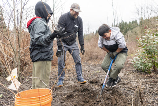 Sarah J. Anderson Elementary School fourth-graders Alexis Lopez, left, and Angel Murrillo Martinez dig a hole for a sapling while Lower Columbia Estuary Partnership environmental educator James Sterrett, center, supervises Wednesday at Burnt Bridge Creek. Clark County recently agreed to a $175,000 contract to extend the Experience Vancouver Lake program hosted by Lower Columbia Estuary Partnership, part of a suite of outdoor educational opportunities offered by the nonprofit.