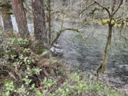 Multiple fire agencies responded Monday morning for a vehicle that drove off Lucia Falls Road and down a 30-foot embankment into the East Fork Lewis River.