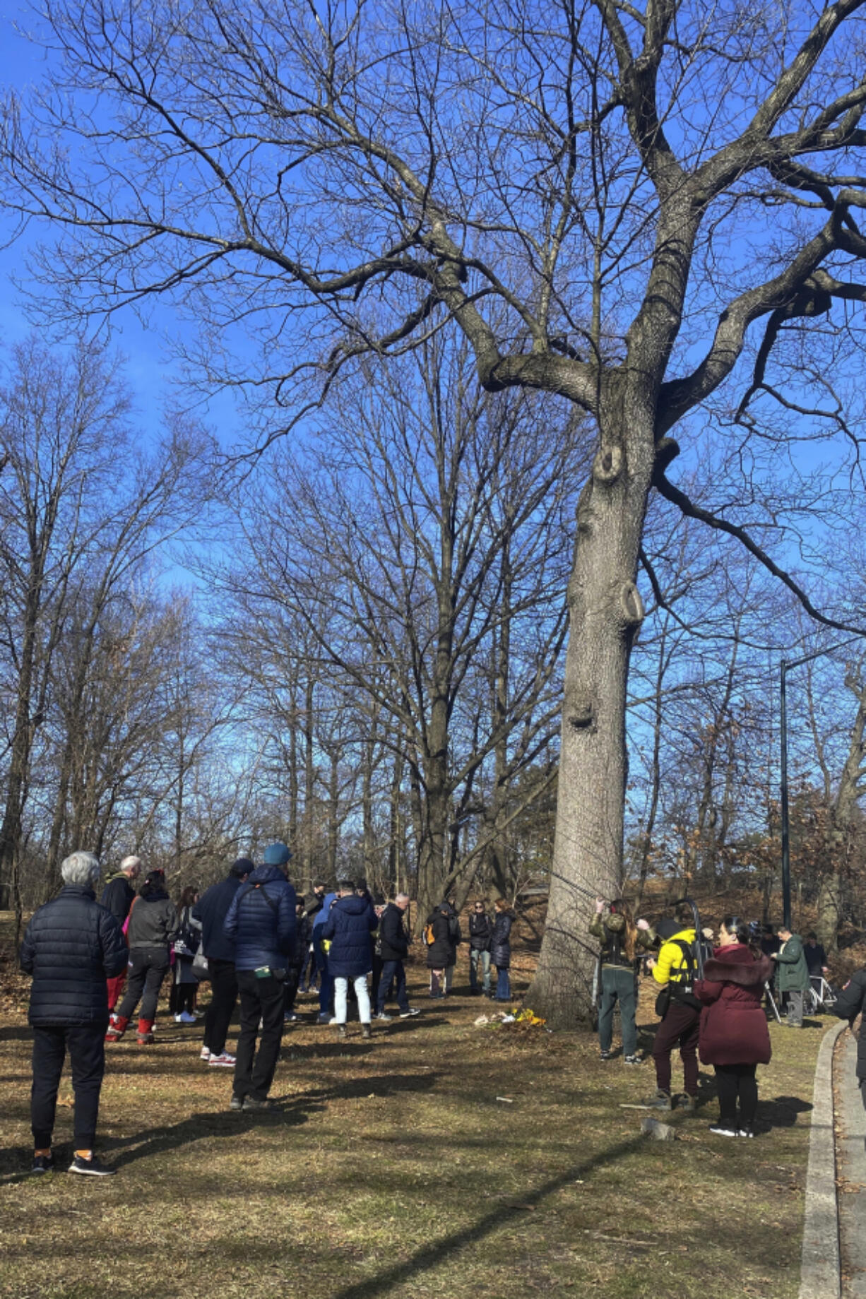 People gather in tribute to Flaco on Saturday at the foot of the oak tree where the owl was often spotted in New York&rsquo;s Central Park.
