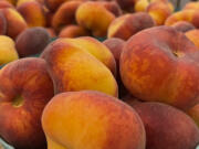 Freshly harvested yellow Saturn donut peaches from Brown&rsquo;s Orchards &amp; Farm Market in Loganville, Pa.