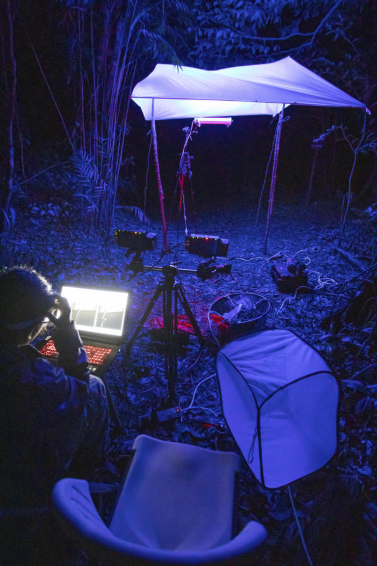 Imperial College London entomologist Sam Fabian conducts an experiment on the effect of artificial light on flying insects in Monteverde, Costa Rica.