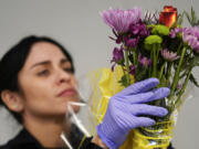 A U.S. Customs and Border Protection agriculture specialist examines a bunch of imported flowers for harmful pests, at Miami International Airport in Miami, Monday, Feb. 12, 2024. Roughly 90% of flowers imported to the U.S. pass through Miami&rsquo;s airport, most of them from South American countries including Colombia and Ecuador.