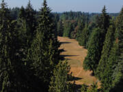 Clark County is partnering with the Cowlitz Indian Tribe to develop a fish habitat and recreation master plan for the Gordy Jolma Family Natural Area. The county purchased the former golf course property in 2022.
