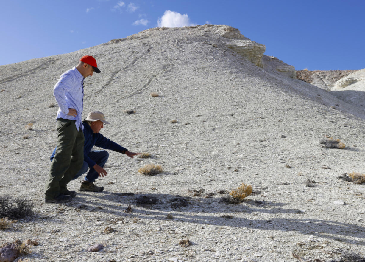 Chad Yeftich, left, vice president of corporate development and external affairs at Ioneer, and Bernard Rowe, managing director at Ioneer, look at Tiehm buckwheat, a small yellow flower that grows in lithium-rich Nevada soil, as they lead a tour of the near by Rhyolite Ridge lithium-boron mine project site, on Thursday, Feb. 22, 2024, in Esmeralda County, Nevada. Rhyolite Ridge holds the largest known lithium and boron deposit in North America.