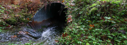 A culvert of the list to replaced in Skokomish Park in Shelton, Washington on Nov. 3, 2023.