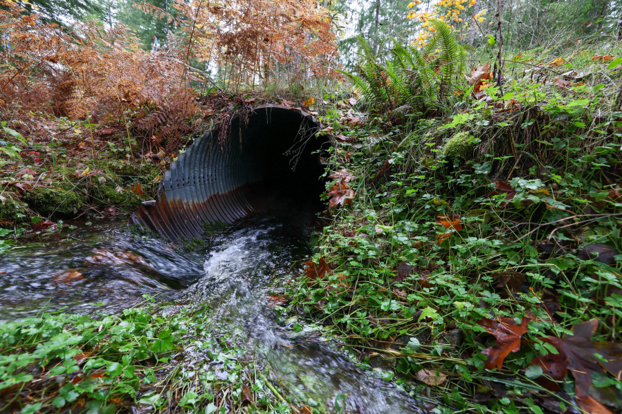 A culvert of the list to replaced in Skokomish Park in Shelton, Washington on Nov. 3, 2023.