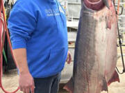 Chad Williams of Olathe, Kan., caught a world record 164-pound, 13-ounce paddlefish. Williams was on his first snagging trip March 17 when he reeled in the fish at the Lake of the Ozarks.