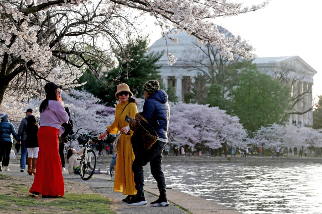 Visitors near the cherry trees in full bloom at the Tidal Basin on March 19 in Washington, D.C. As the weather warms up, people are more active but so is allergy season.