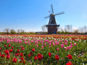 Holland, Mich., has authentic Dutch windmills, beaches, food and art &mdash; giving the perfect balance of a European, beach and small-town feel.
