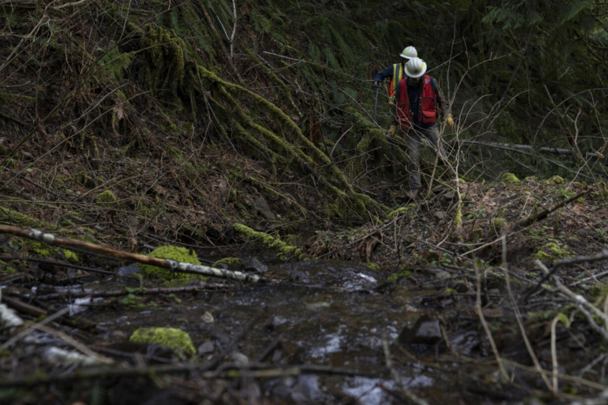 Washington State Department of Natural Resources geologists Mitch Allen and Emilie Richard hike to a site of a potential landslide March 14 in the Capitol Forest, in Olympia.