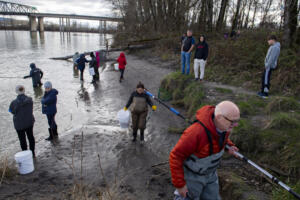 Smelt fishing may soon require license in Washington state