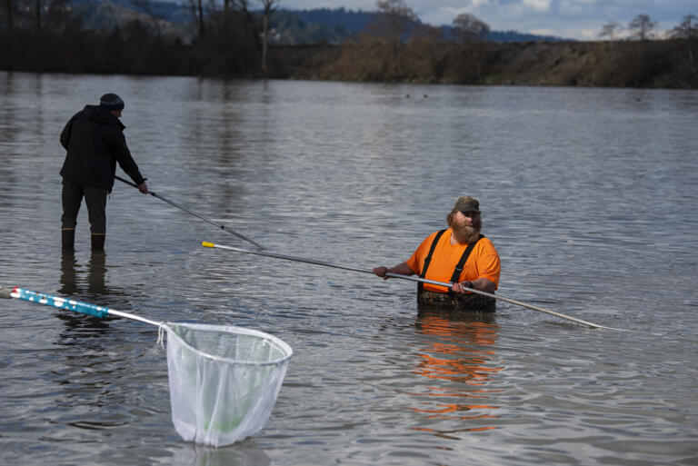 Kevin Woodworth of Vancouver, in orange, joins the crowd along the shores of the Cowlitz River as he prepares to catch a smelt on Tuesday afternoon, March 5, 2024.