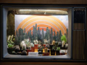 A vintage television serves as a display case for cacti and succulents at Bright Indirect Light Social Club.