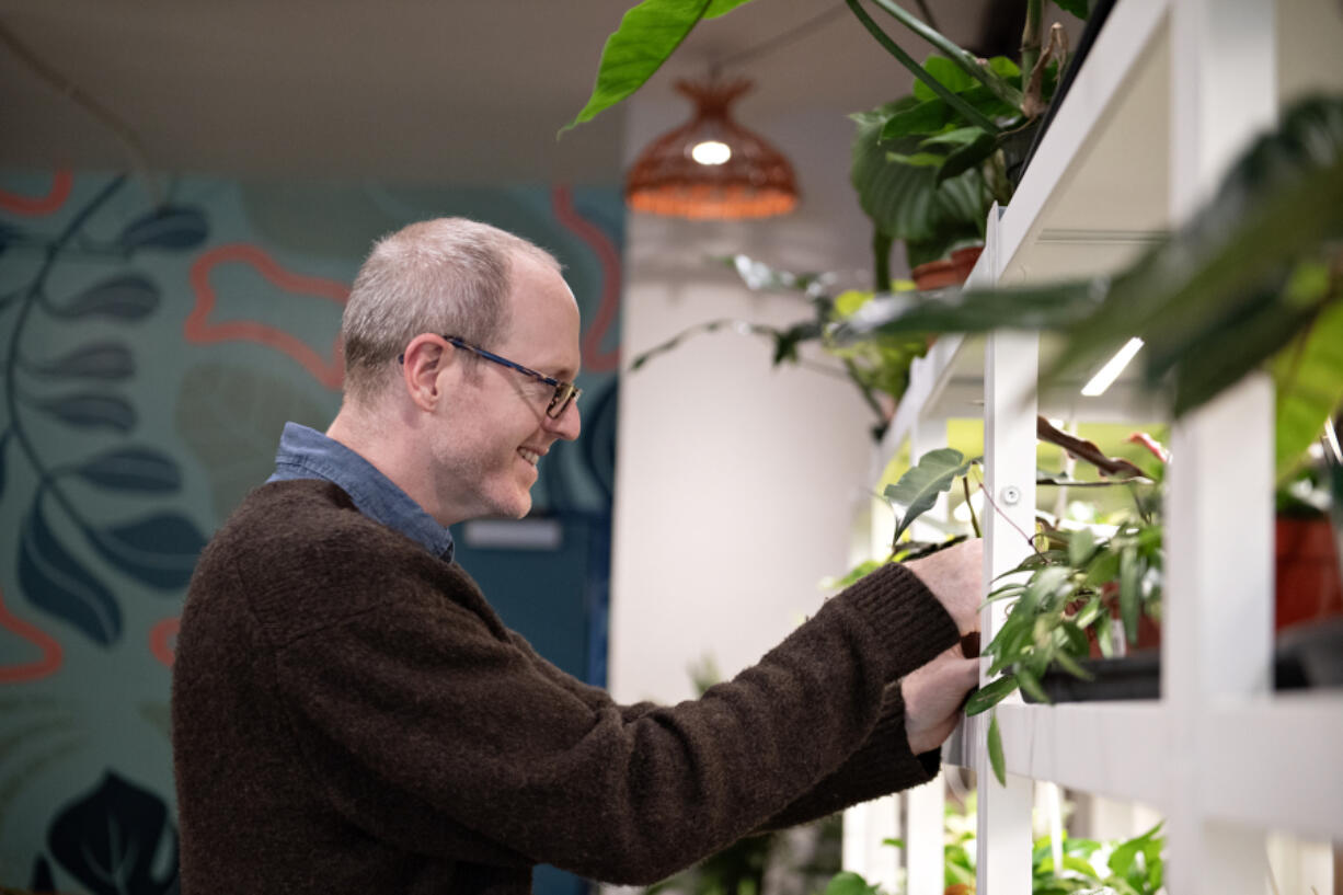 Matt Sievert, owner of Bright Indirect Light Social Club, looks over exotic plants at his Uptown Village shop. When he&rsquo;s not at the store, he&rsquo;s at home, caring for his own 150 house plants.