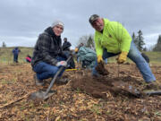 The Camas Lions Club, in partnership with the Watershed Alliance of SW Washington, joined 142 other community volunteers on Feb.