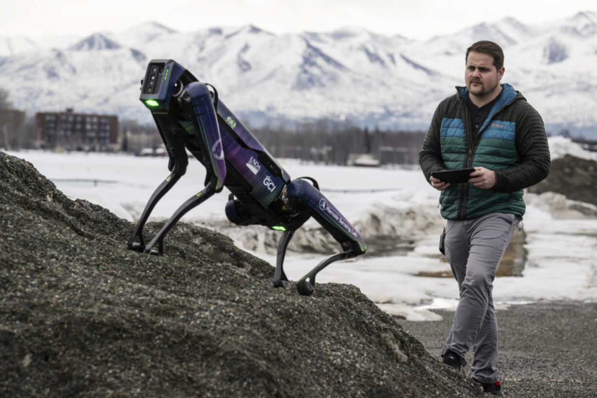 Alaska Department of Transportation program manager Ryan Marlow demonstrates the agency&rsquo;s robotic dog Tuesday in Anchorage, Alaska. The device will be camouflaged as a coyote or fox to ward off migratory birds and other wildlife at Alaska&rsquo;s second-largest airport, the Department of Transportation said.