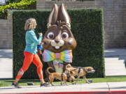 With Easter a little more than a week away, a woman walks her dog past a large chocolate rabbit located in front of the B.Candy store on Pacific Coast Highway in Corona del Mar, Calif. on Thursday, March 21, 2024.