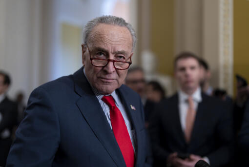 Senate Majority Leader Chuck Schumer, D-N.Y., speaks to reporters at the Capitol in Washington, Tuesday, March 12, 2024. (AP Photo/J.