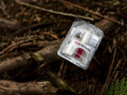 A container of Narcan, or naloxone, sits on tree roots at a longstanding homeless encampment.
