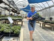 An employee carries a tray of plants March 13 at East Coast Garden Center, in Millsboro, Del.