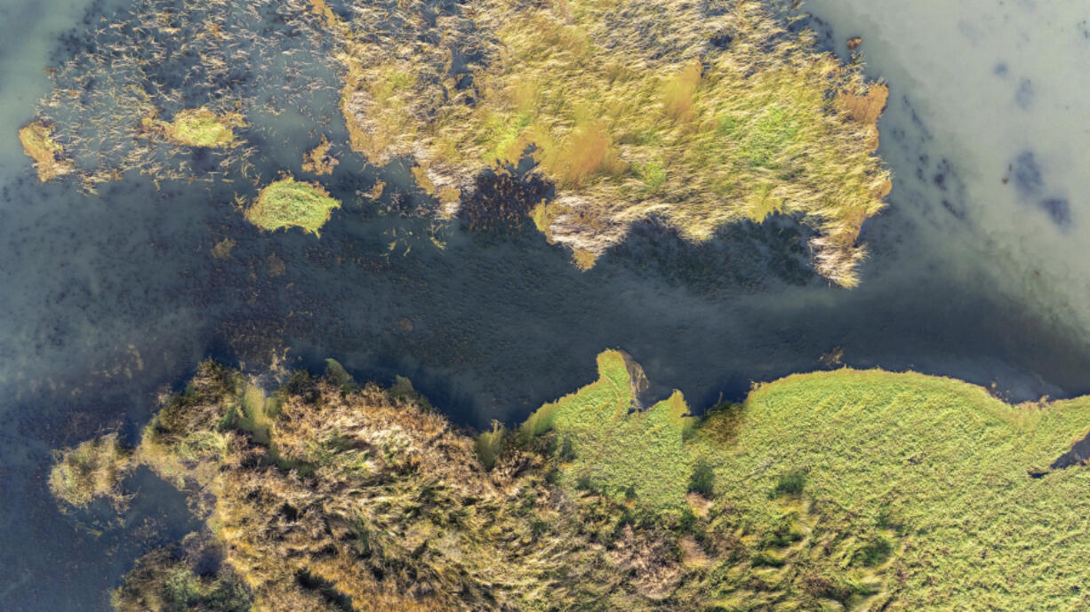Islands in Big Break, a small bay on the The San Joaquin River, Dec. 5, 2023, in Oakley, California.