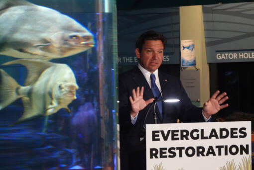 Florida Gov. Ron DeSantis speaks during a news conference at the Cox Science Center and Aquarium, Monday April 22, 2024, in West Palm Beach. He announced additional funding for environmental projects including the Florida Everglades.