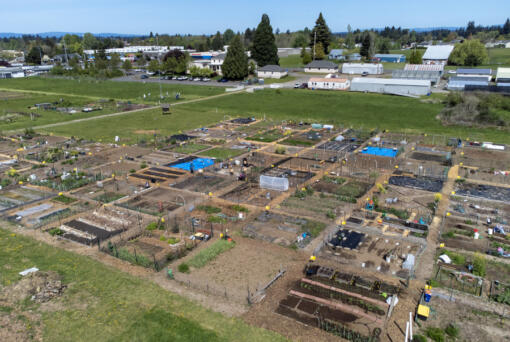 Garden plots take shape at the 78th Street Heritage Farm in Hazel Dell. Clark County continues to weigh its options for the farm and how to make the property financially viable.