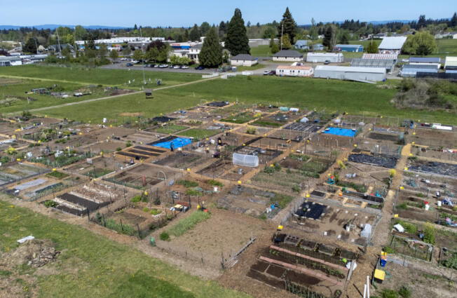 Garden plots take shape at the 78th Street Heritage Farm in Hazel Dell. Clark County continues to weigh its options for the farm and how to make the property financially viable.