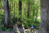 Leverich Park encompasses picnic areas and forested trails. The park turns 70 this year.