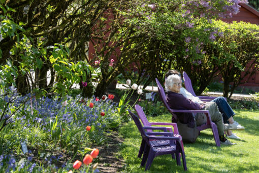 Debbie Kogan of Portland takes in the beauty at Hulda Klager Lilac Gardens while soaking up the sunshine.