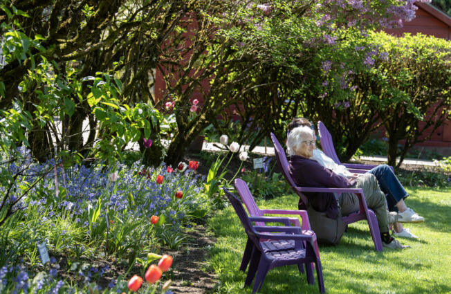 Debbie Kogan of Portland takes in the beauty at Hulda Klager Lilac Gardens while soaking up the sunshine.