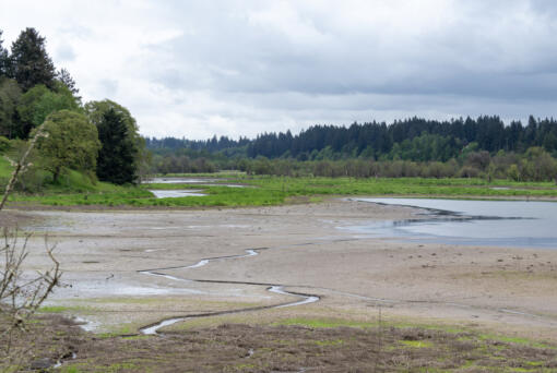 Residents living along the west edge of the Salmon Creek trail say the ponds have been drying out, but no one seems to know why. According to Clark County Public Works, the ponds began drying up about a year ago. Rocky Houston, director of the parks division, said it may be from a beaver dam.