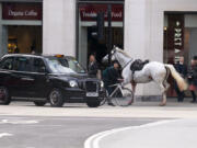A white horse on the loose bolts through the streets of London near Aldwych, on Wednesday April 24, 2024.